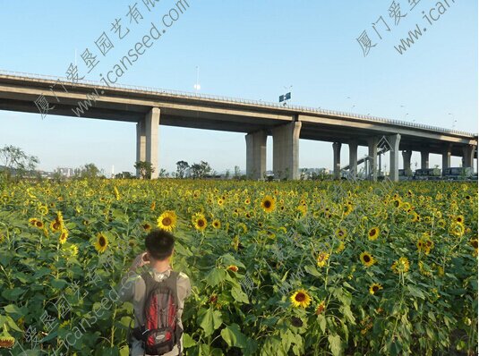 10_proc.jpg 10_proc.jpg