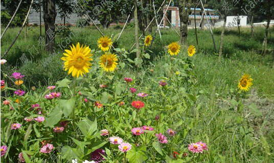 11_proc.jpg 11_proc.jpg