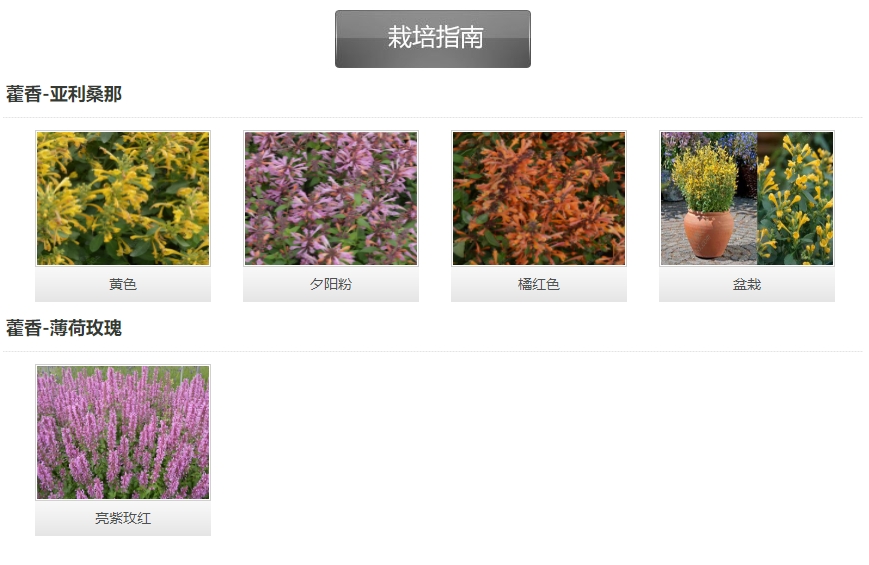 微信截圖_20241127141924.png 微信截圖_20241127141924.png