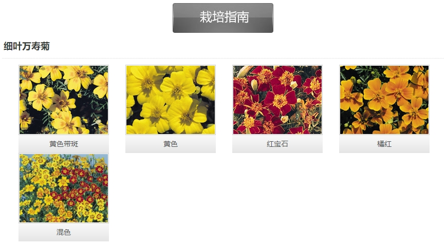 微信截圖_20241213093826.png 微信截圖_20241213093826.png