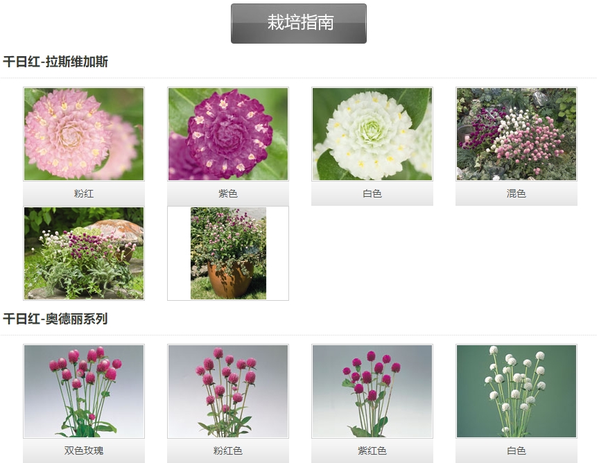 微信截圖_20241213150516.png 微信截圖_20241213150516.png