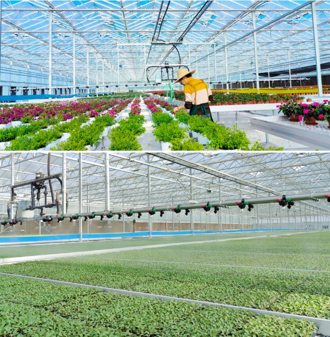 微信截圖_20241202141517.png 微信截圖_20241202141517.png