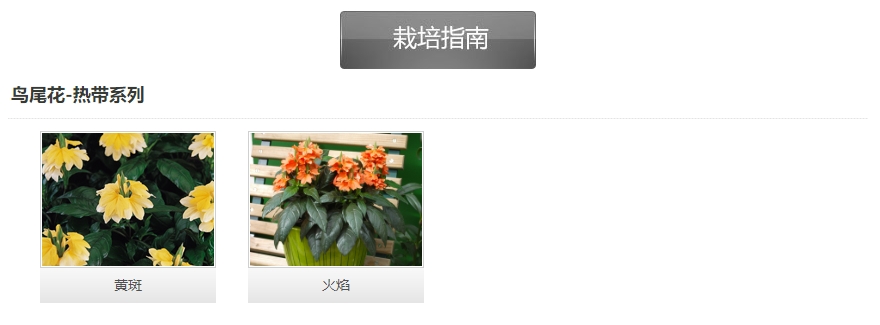 微信截圖_20241128163744.png 微信截圖_20241128163744.png