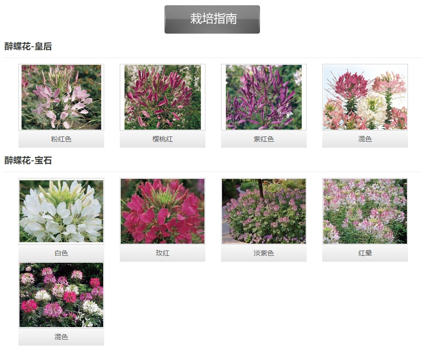 微信截圖_20241128163918.png 微信截圖_20241128163918.png