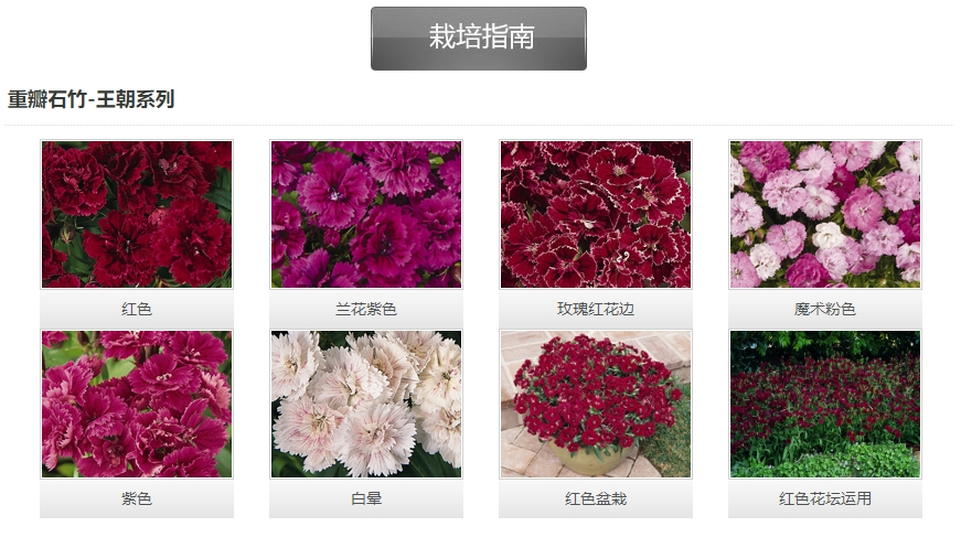 微信截圖_20241128172025.png 微信截圖_20241128172025.png