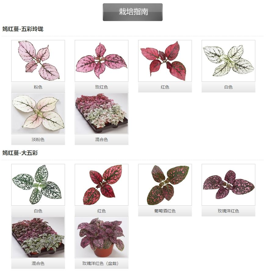 微信截圖_20241204111504.png 微信截圖_20241204111504.png