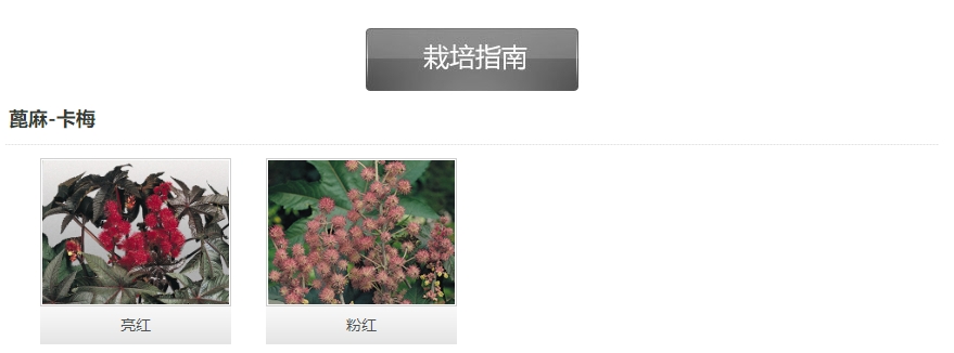 微信截圖_20241204163917.png 微信截圖_20241204163917.png