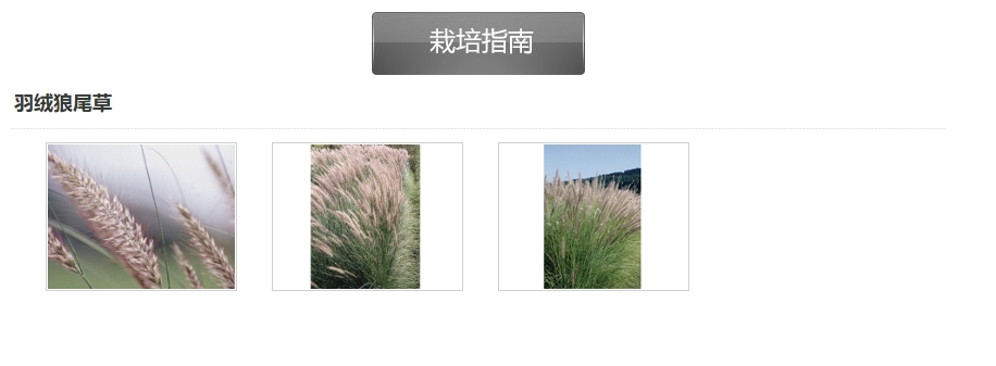 微信截圖_20250107164331.png 微信截圖_20250107164331.png