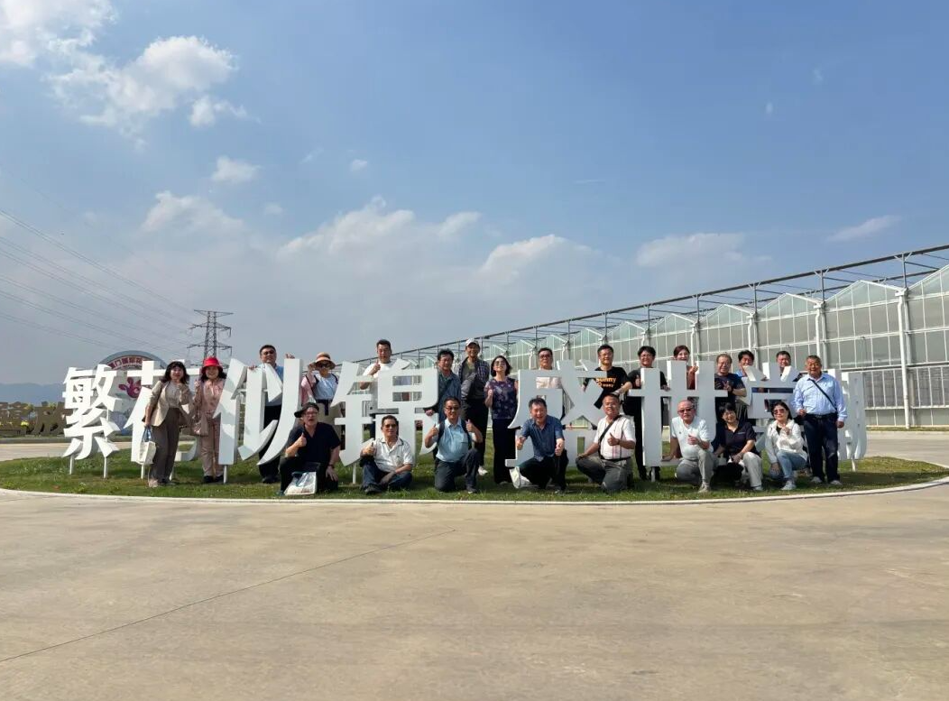 360截圖20251121145652.png 360截圖20251121145652.png